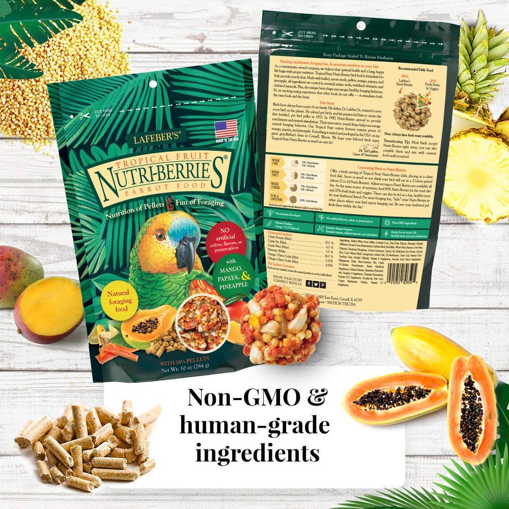 LAFEBER'S Nutri-Berries El Paso flavor bag for variety