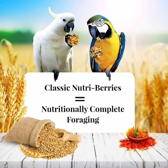 Lafeber's Nutri-Berries foraging shape encourages beak exercise and enrichment.