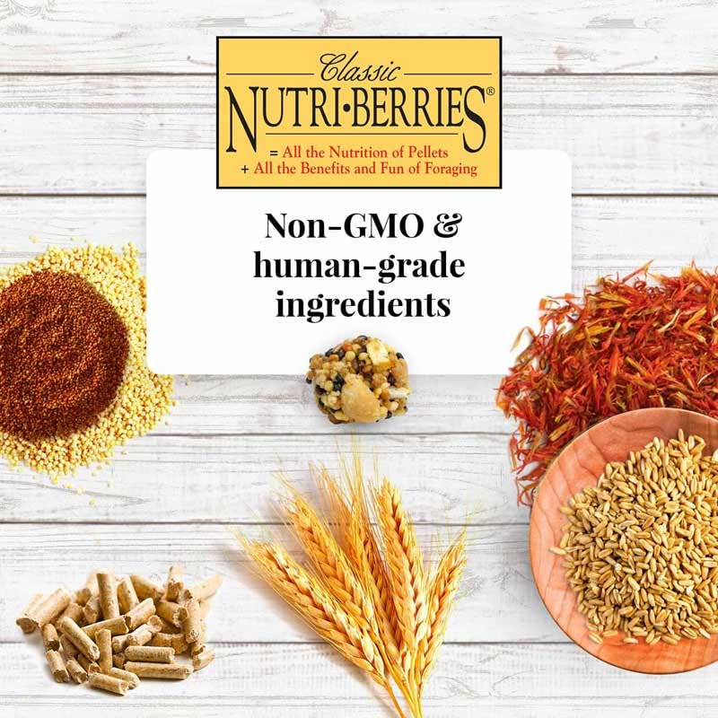 LAFEBER'S Nutri-Berries with non-GMO ingredients and human-grade quality