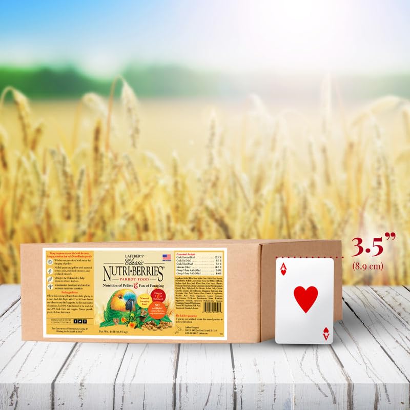 LAFEBER'S Nutri-Berries omega-3-6-balanced formula for feathers and skin