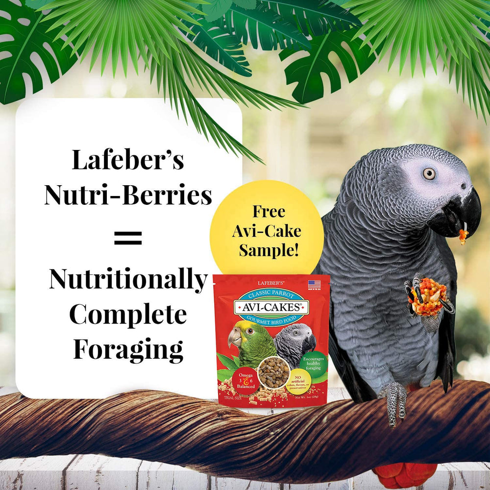 LAFEBER'S Nutri-Berries orchard flavor bag for small parrots' daily feeding