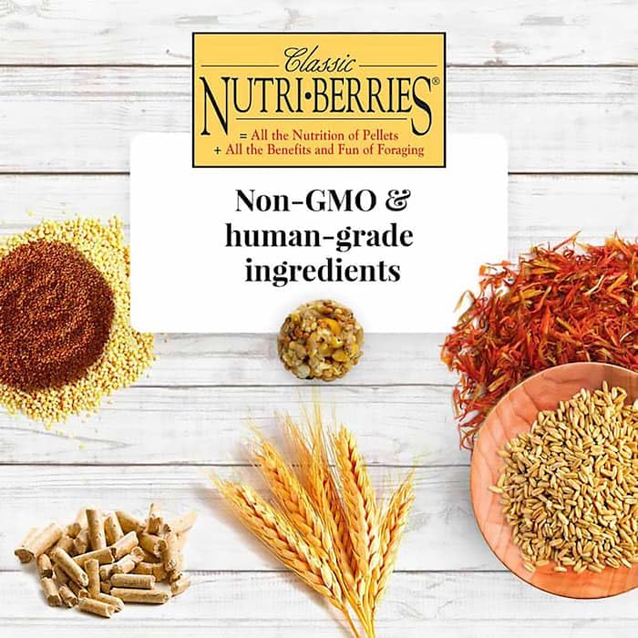 Lafeber's Nutri-Berries packaging highlights non-GMO ingredients and quality.
