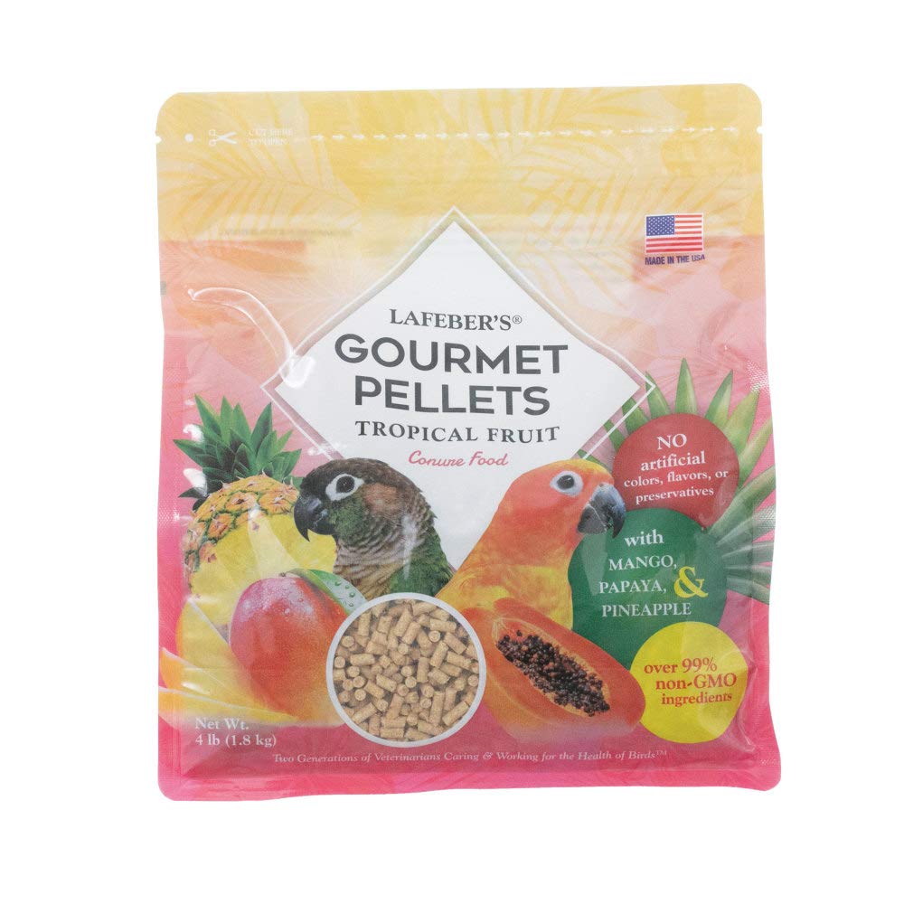 LAFEBER'S Tropical Fruit Gourmet Pellets in a bowl, boosting healthy feathers and immune support