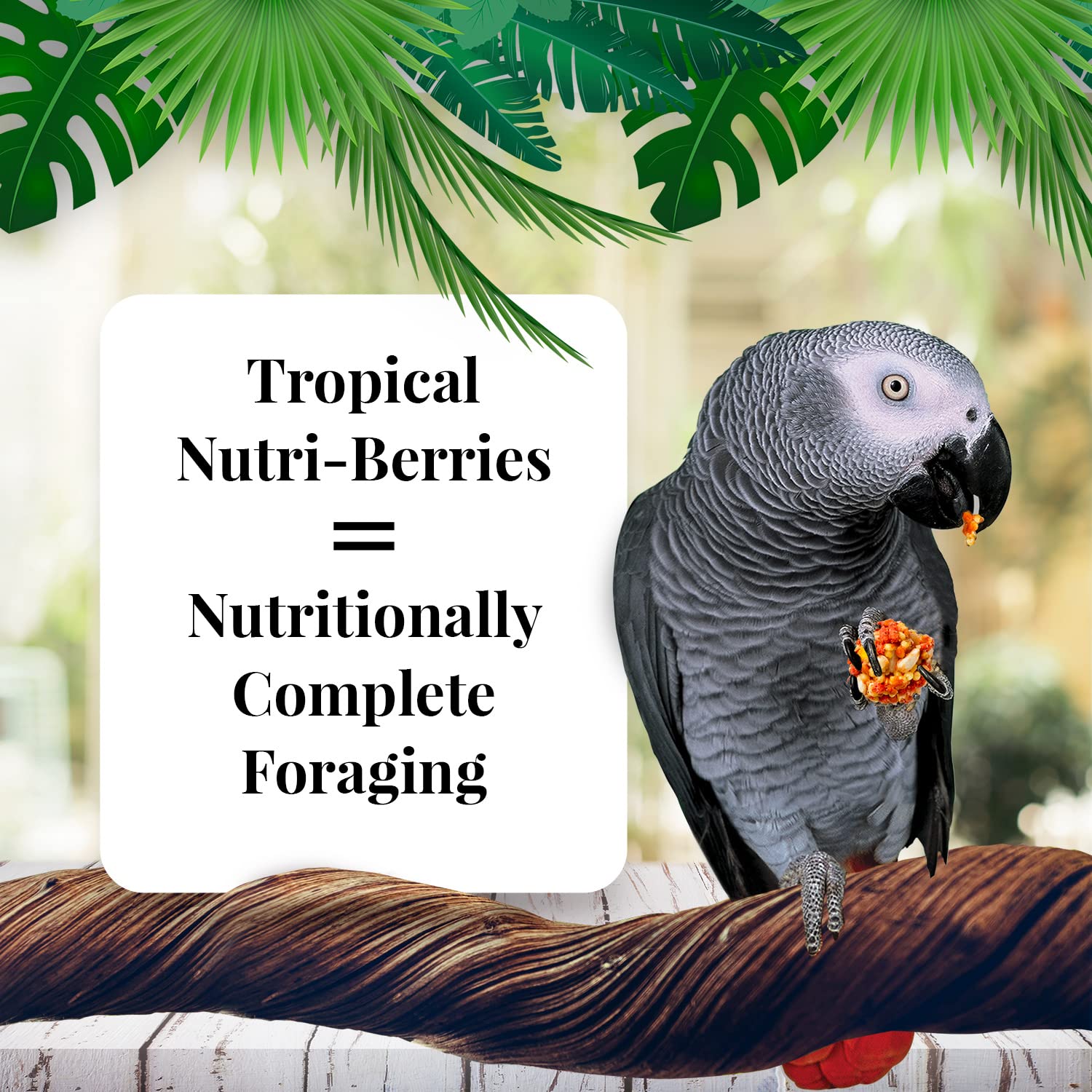 LAFEBER'S Nutri-Berries foraging shape promotes beak play and mental stimulation for parrots.