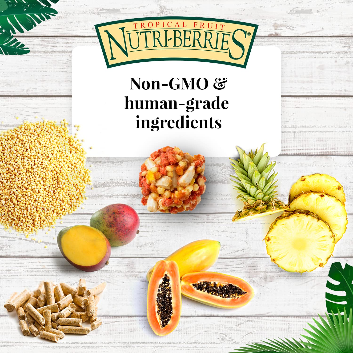 Nutritional balance with omega-3 and omega-6 for healthy skin and vibrant feathers.