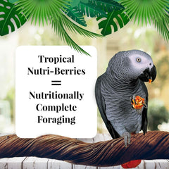 LAFEBER'S Nutri-Berries real fruit pieces visible for parrots.