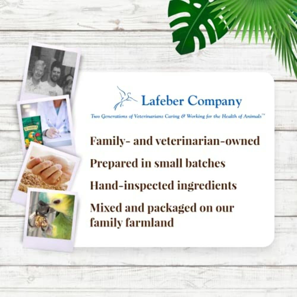 LAFEBER'S Nutri-Berries ready-to-serve on a dish.