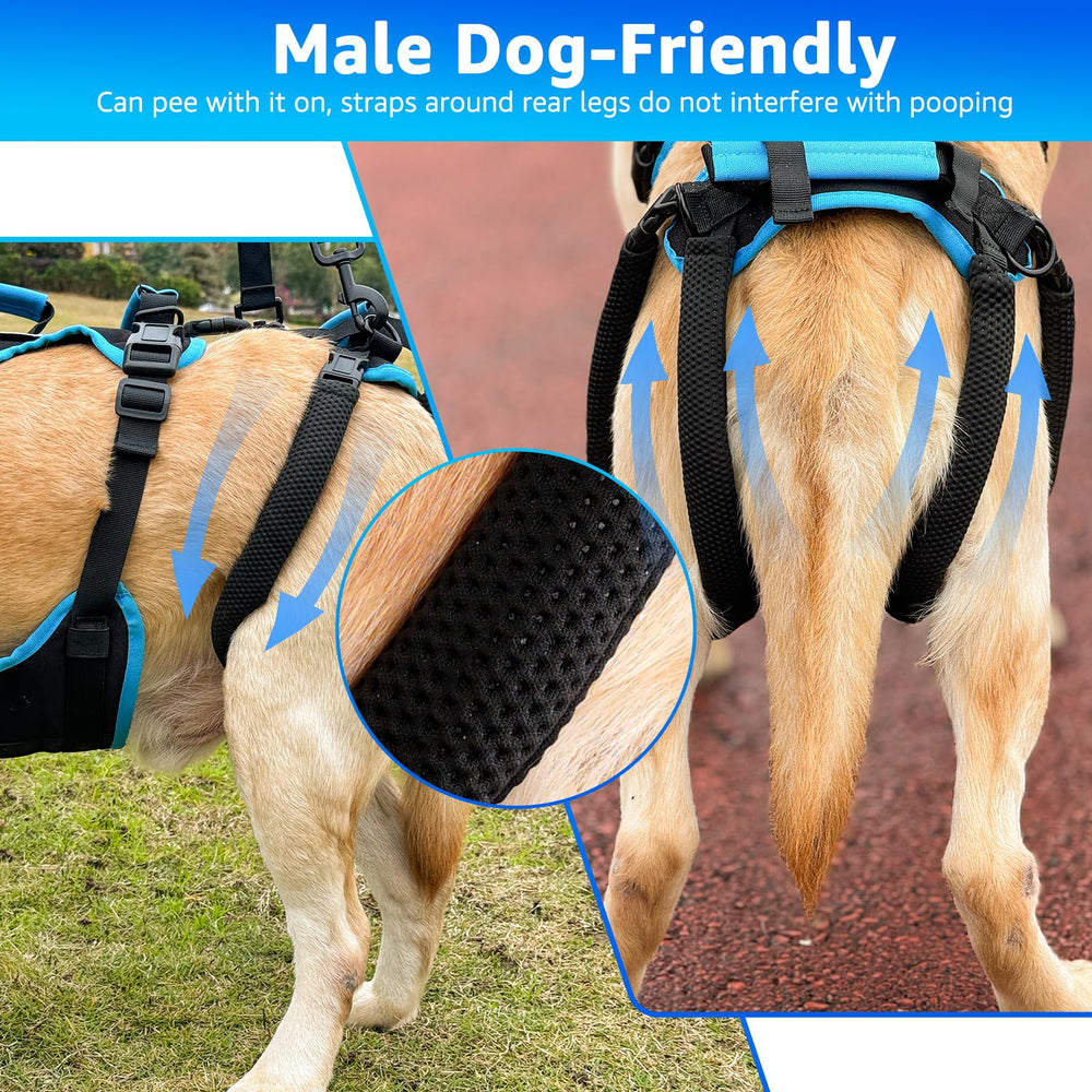 Lafoty detachable rear leg support for flexible everyday use