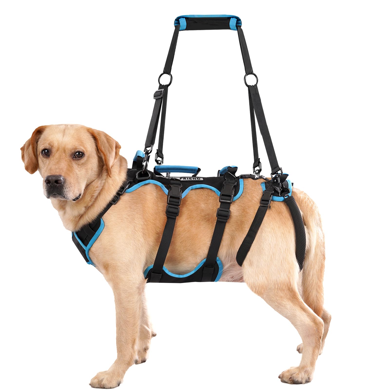 Lafoty dog lift harness full setup with four handles for assisted lifting