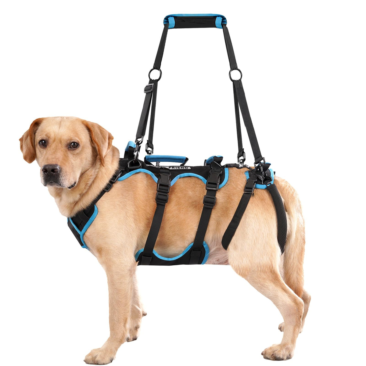 Lafoty dog lift harness full setup with four handles for assisted lifting