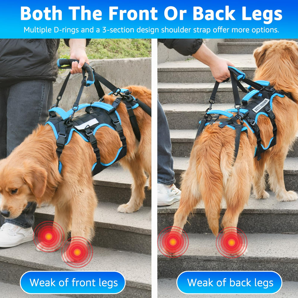 Lafoty male-friendly design avoids interference during potty breaks