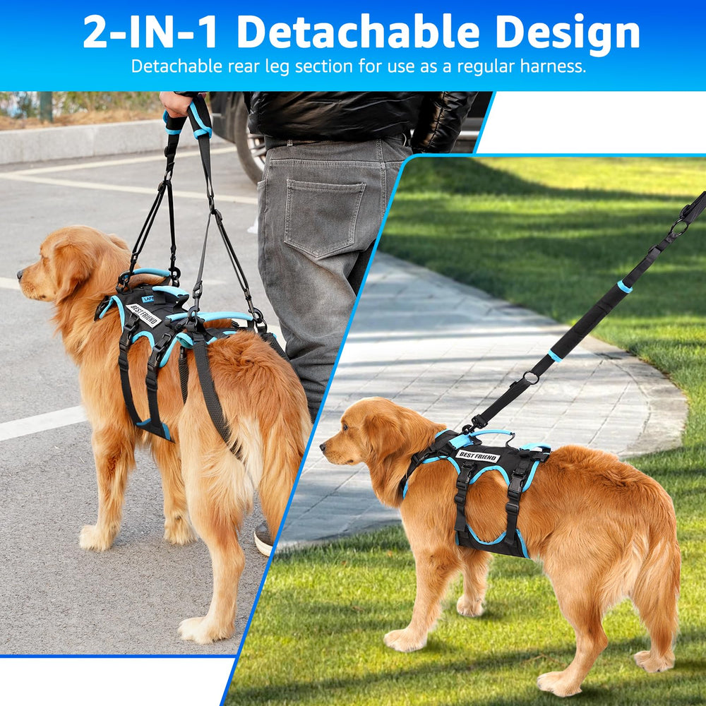 Lafoty dog using lift harness for stair-access relief