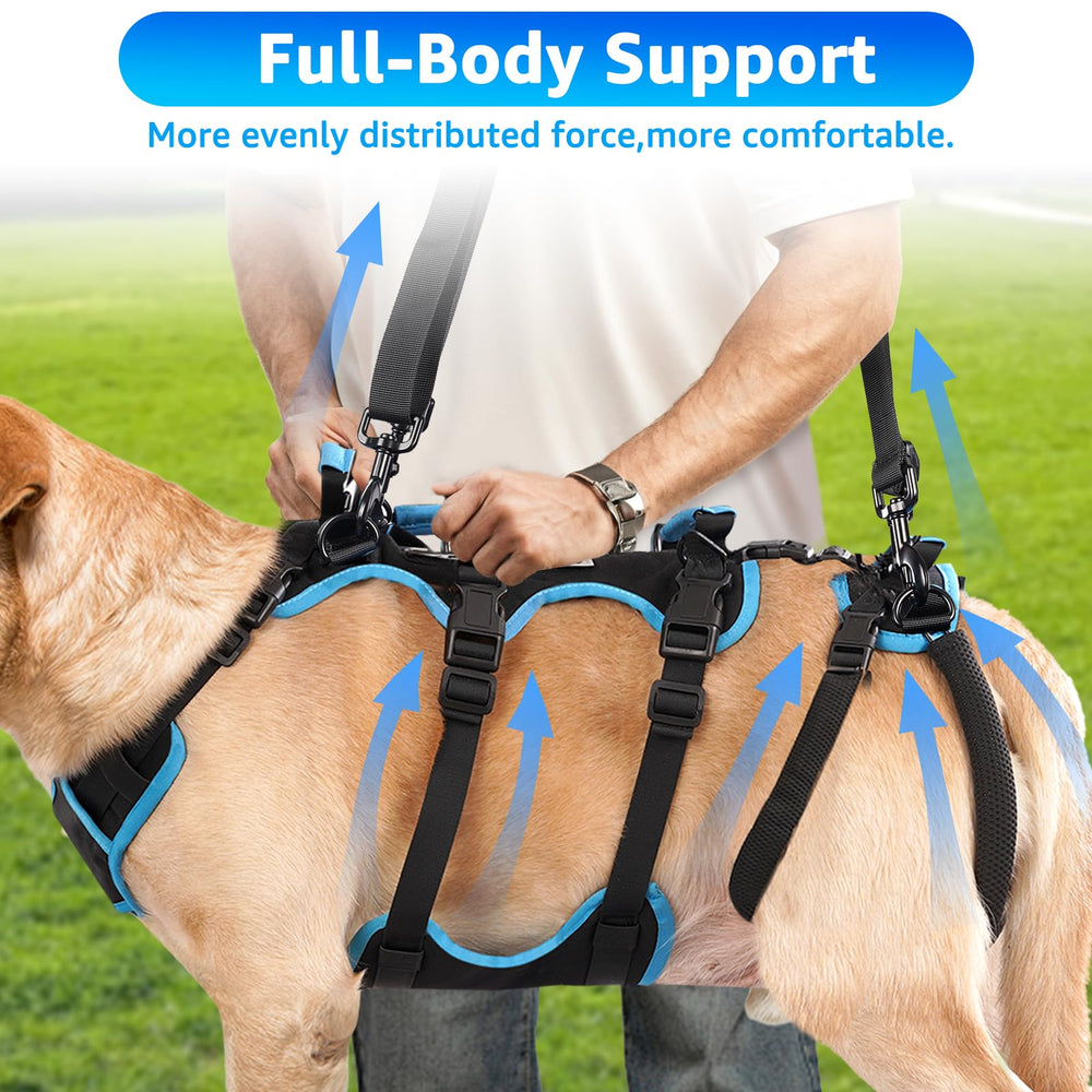 Lafoty harness aids vehicle entry and step-free stairs