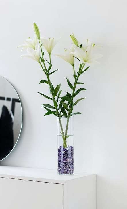 LAIDANLA Amethyst terrarium decor stones add natural color to succulents and glass vessels.
