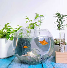 LAIDANLA Obsidian crystal fish-tank decor creates a polished natural focal point