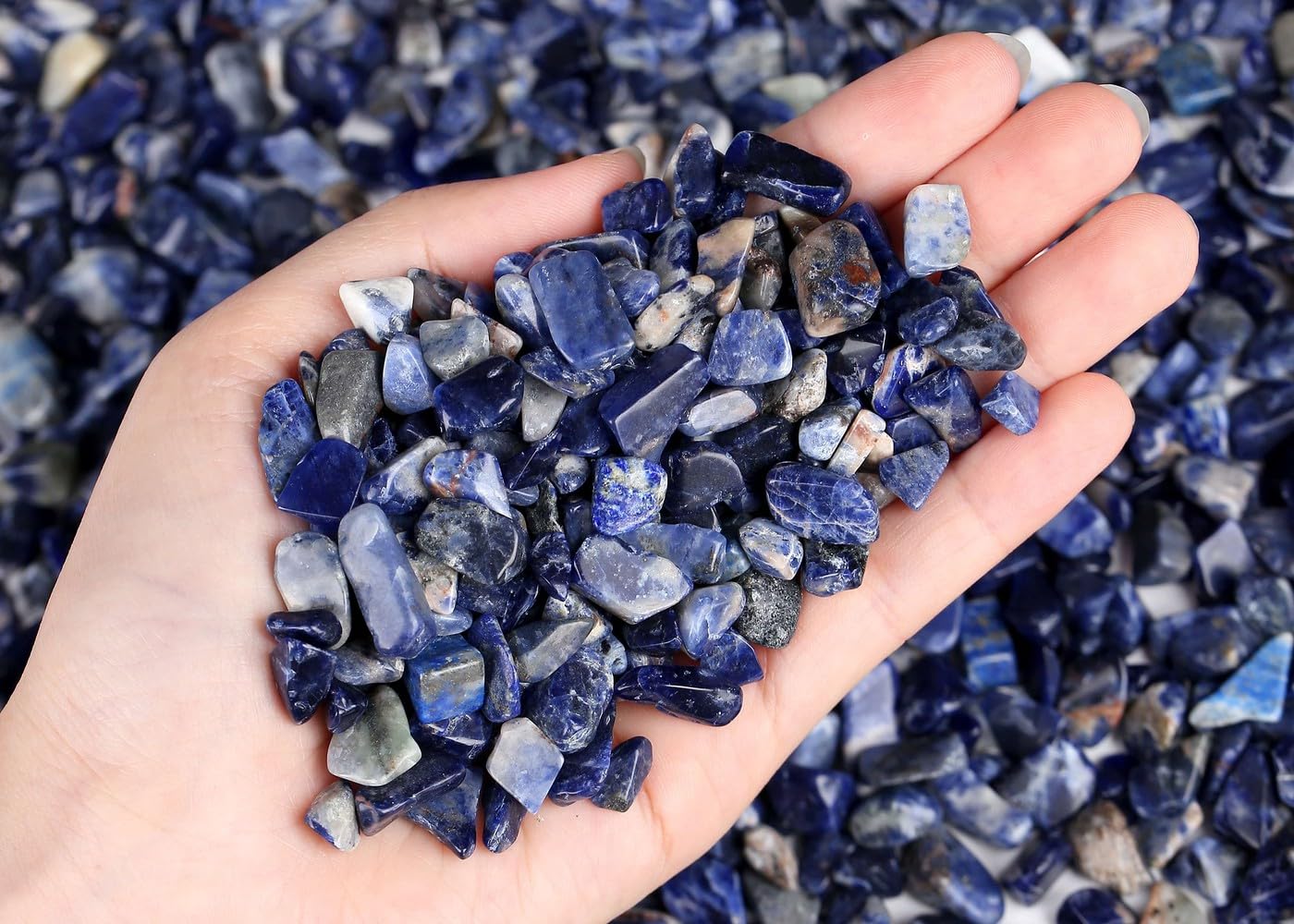 LAIDANLA Sodalite irregular chips pile for crystal grids and plant pot accents