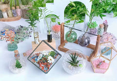 LAIDANLA fluorite gravel adds depth and shimmer to fish tanks