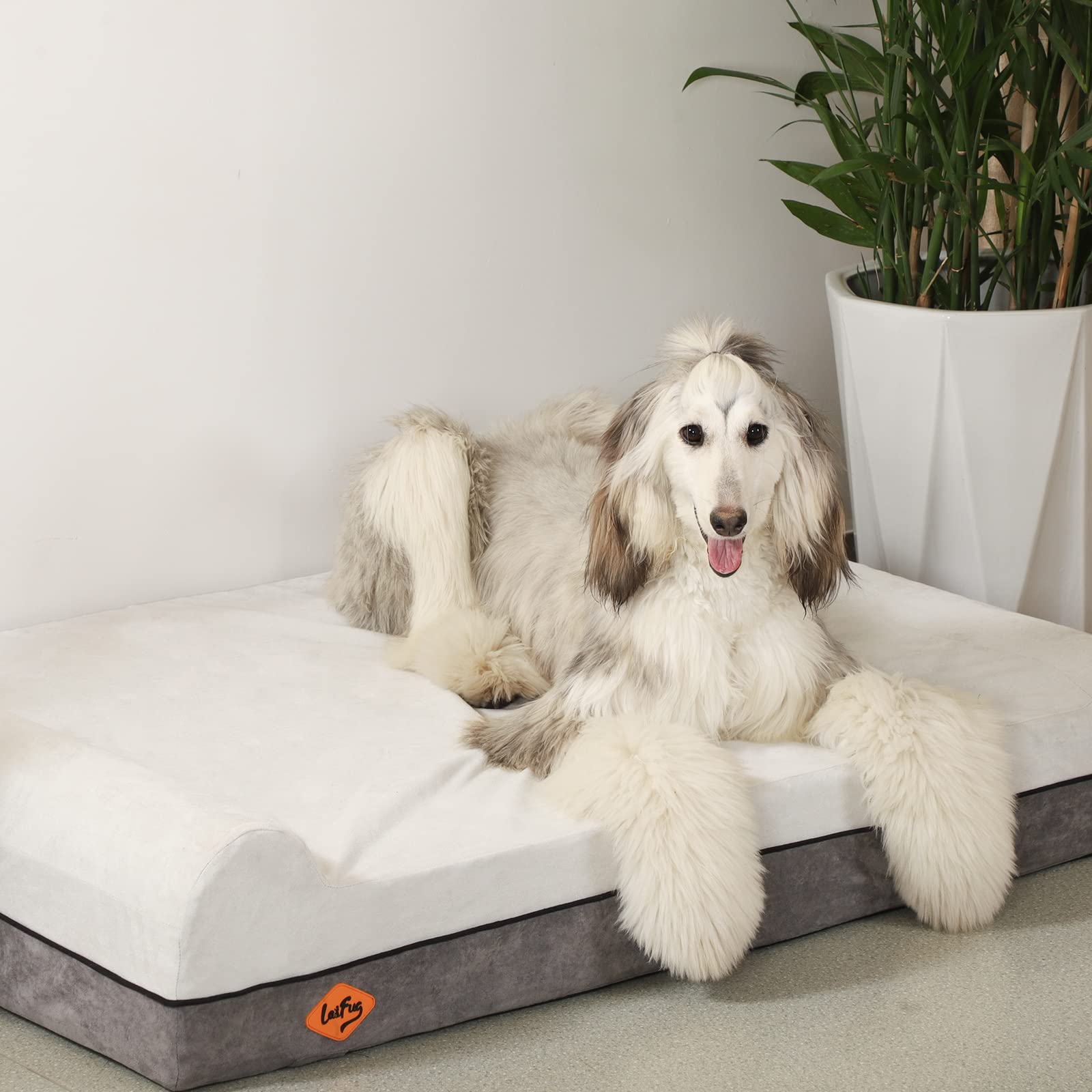 Laifug dimensions 50x36x10 provide ample space for large breeds.