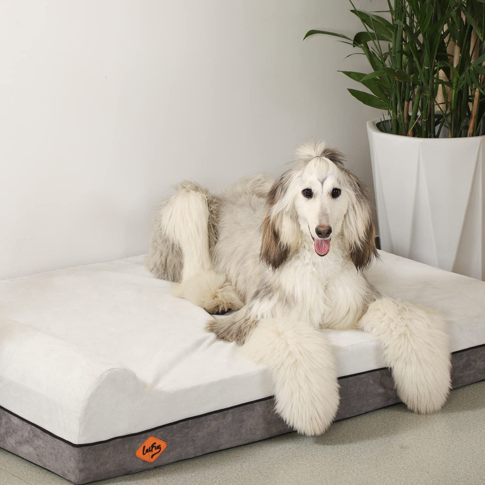 Laifug dimensions 50x36x10 provide ample space for large breeds.