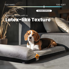 Laifug dog bed high-density-sponge-bottom provides a stable base and quick recovery