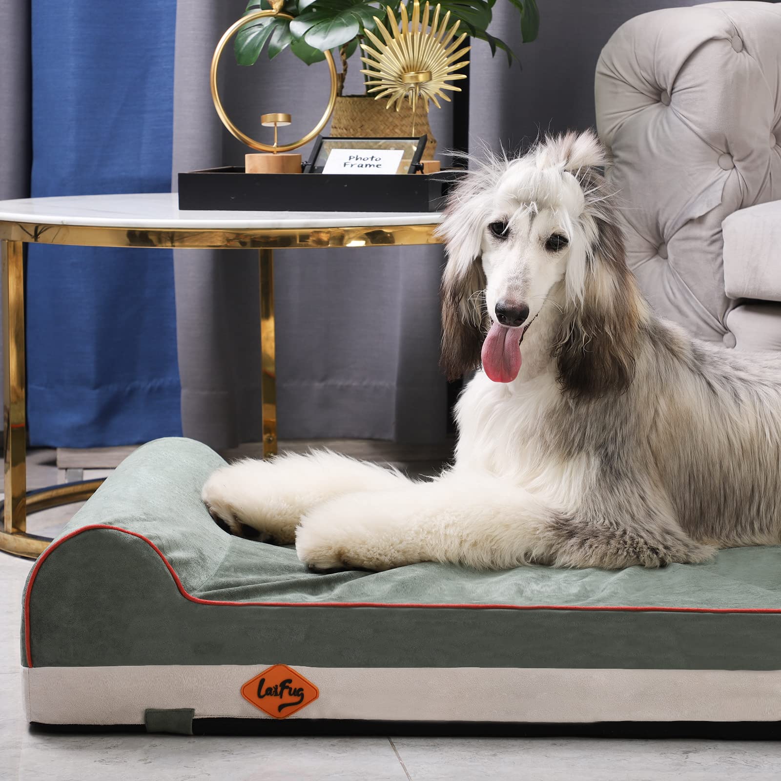 Laifug dogs resting comfortably on bed demonstrates cozy retreat.