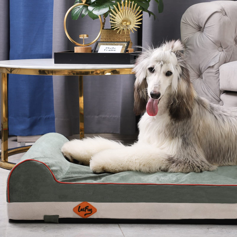Laifug dogs resting comfortably on bed demonstrates cozy retreat.