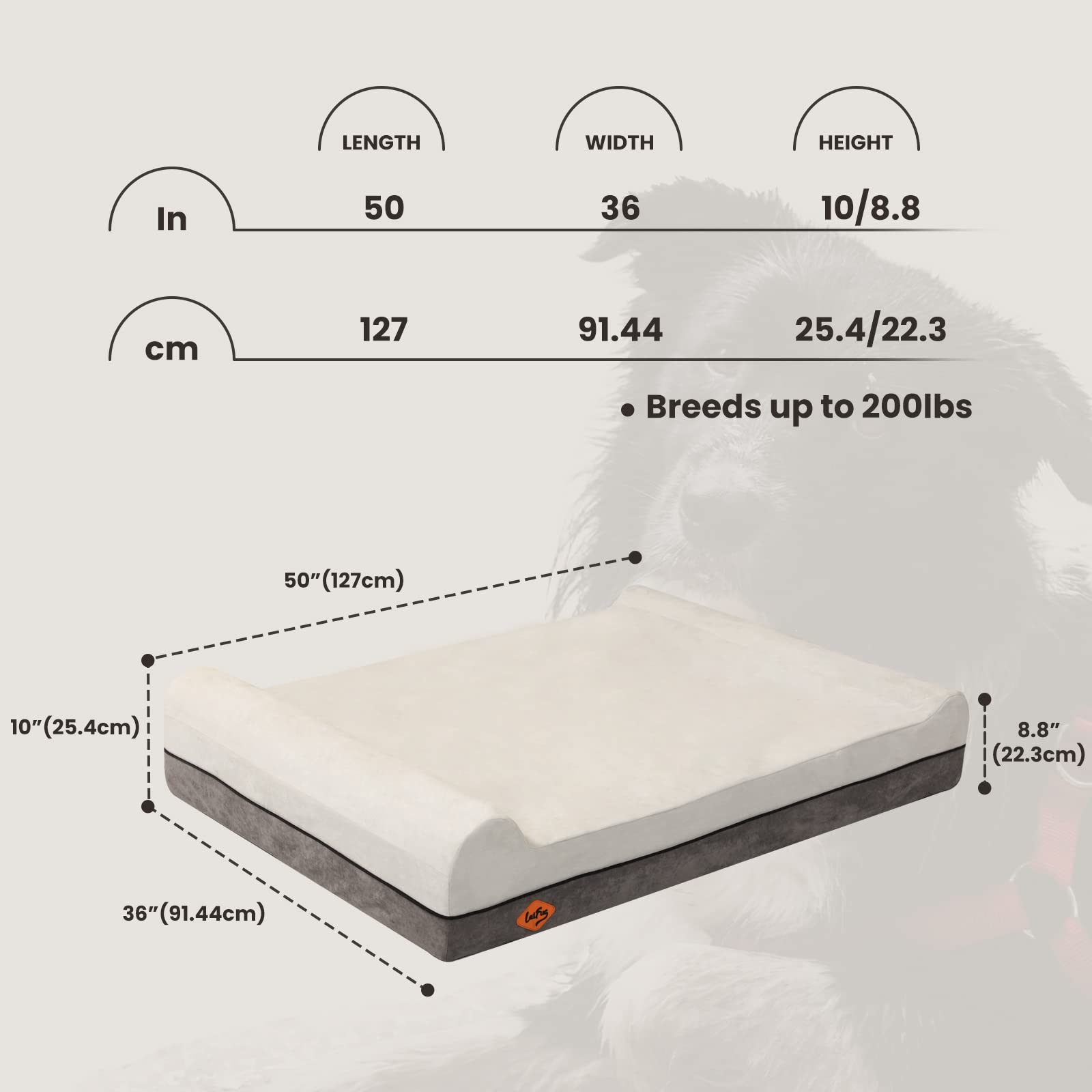 Laifug double pillow smart design cushions head and neck.