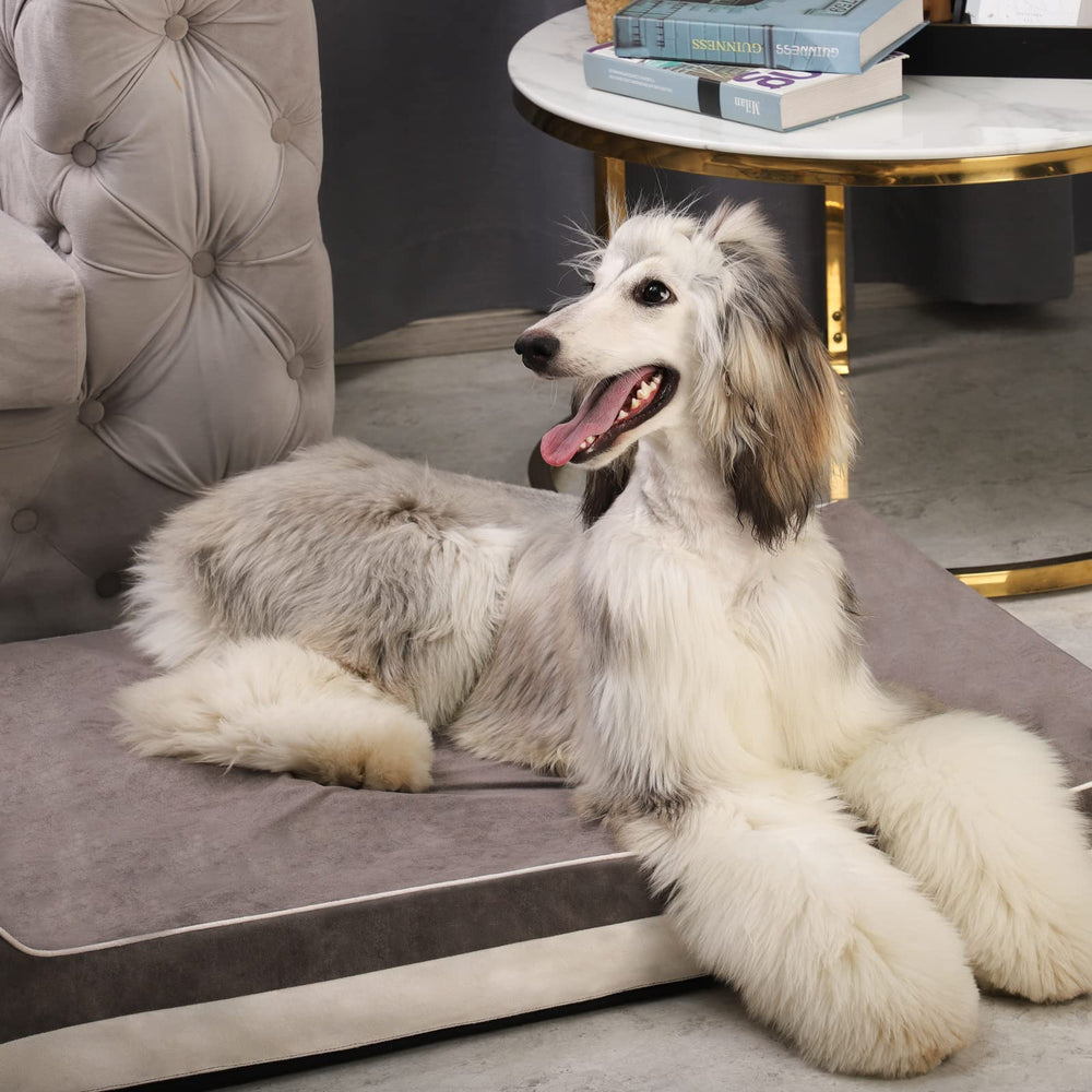 Laifug durable design supports dogs up to 100 lbs comfortably.