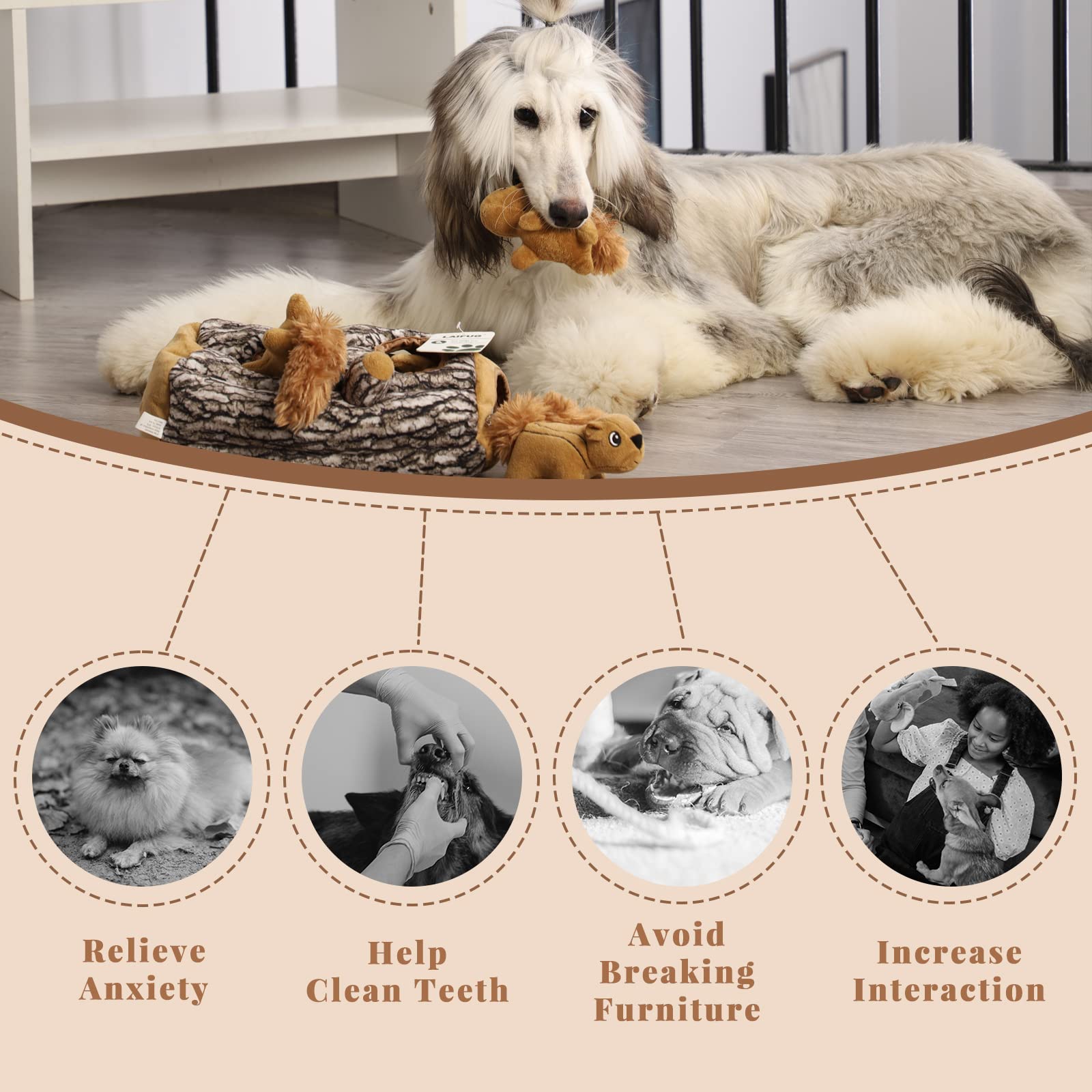 Laifug Hidden Squirrel Plush Dog Toy XL durable squeaker demonstrates long-lasting entertainment.