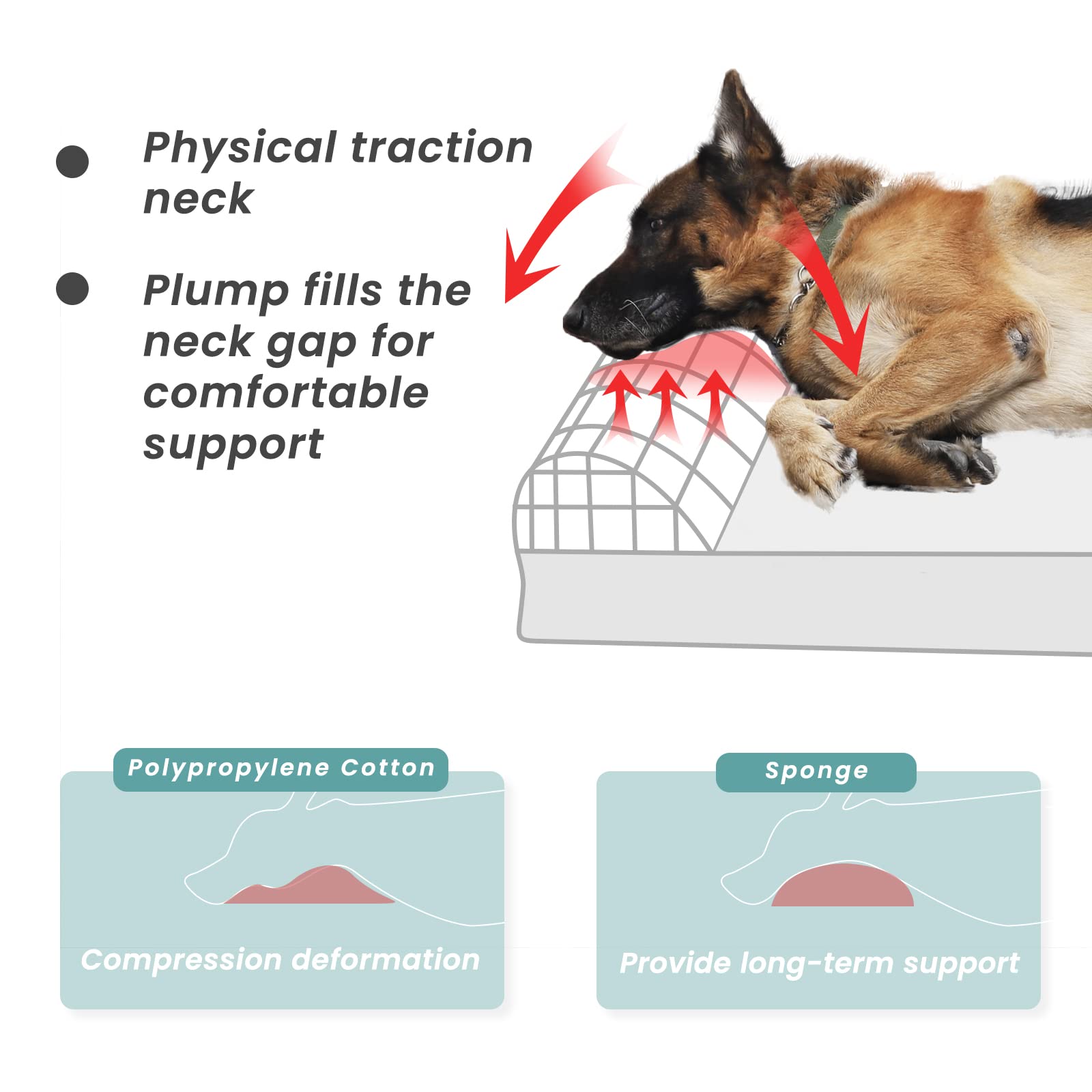 Laifug non-slip bottom image shows bed staying in place for older dogs.