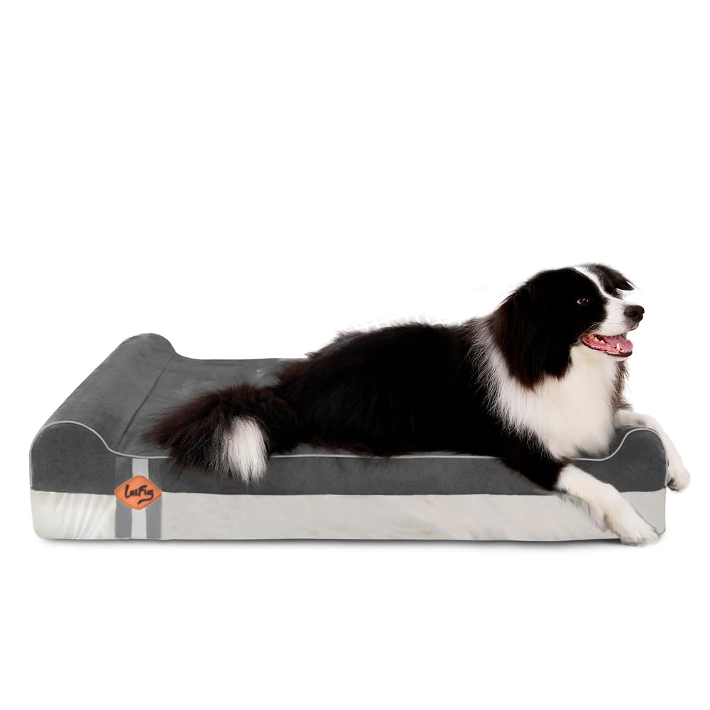 Laifug orthopedic memory foam dog bed in gray with double pillows for head support.