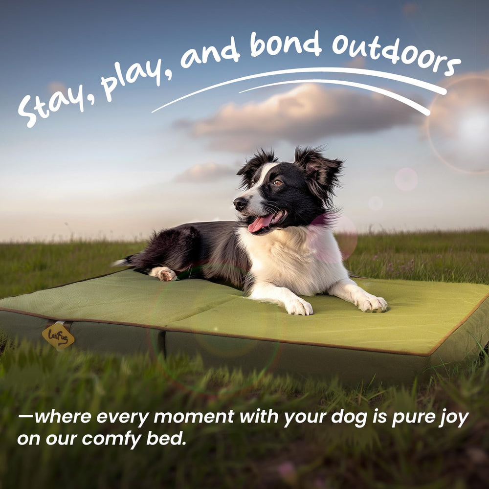 Laifug travel camping dog bed folded beside gear for road trips