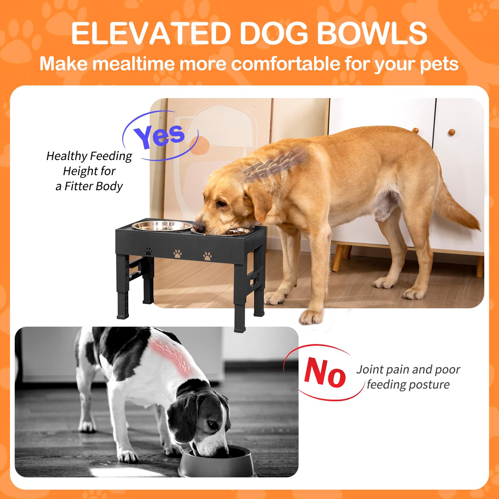 LAKIPETN elevated bowls anti-slip design keeps bowls steady