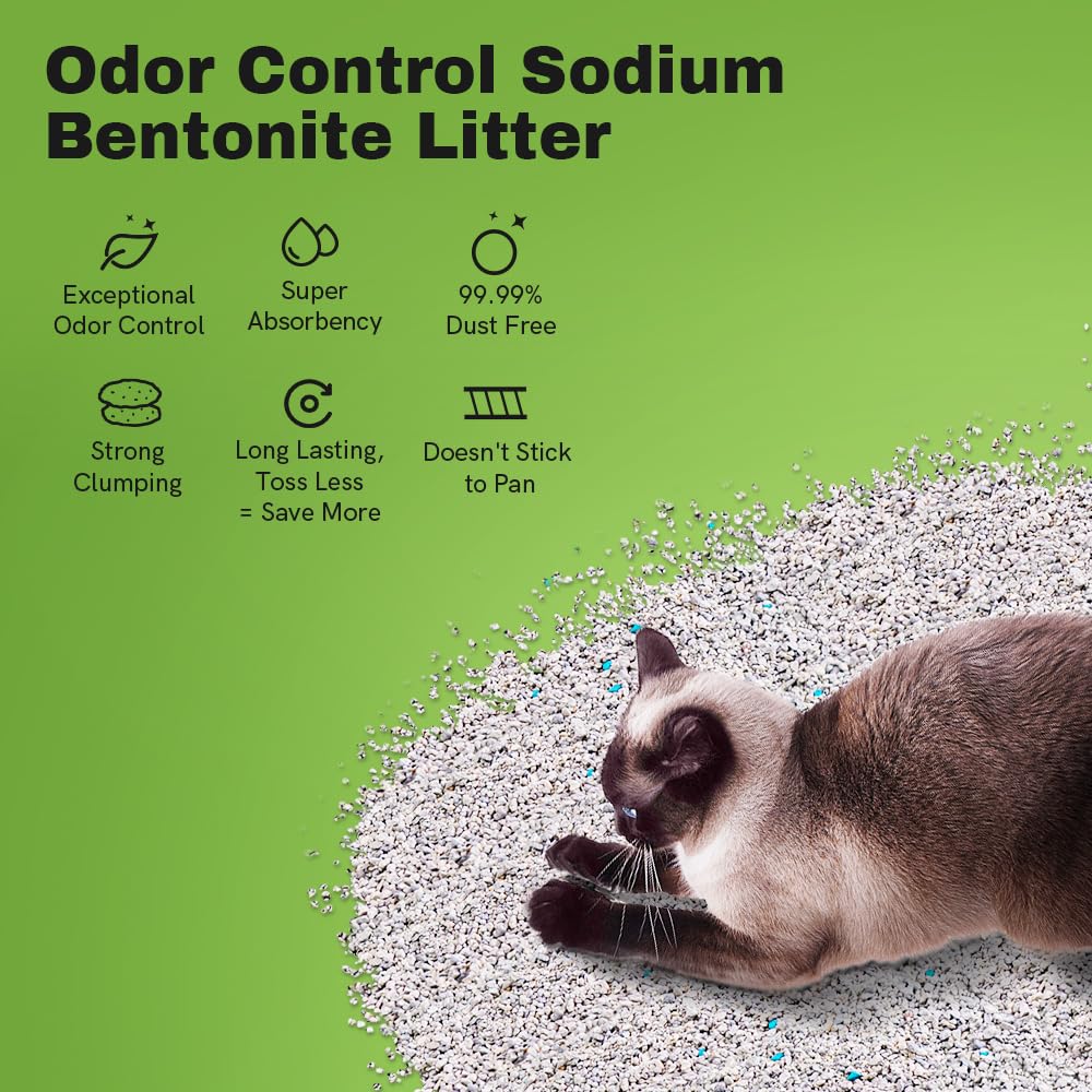 LALAHOME Bentonite litter pour shows a dust-free experience for cleaner air