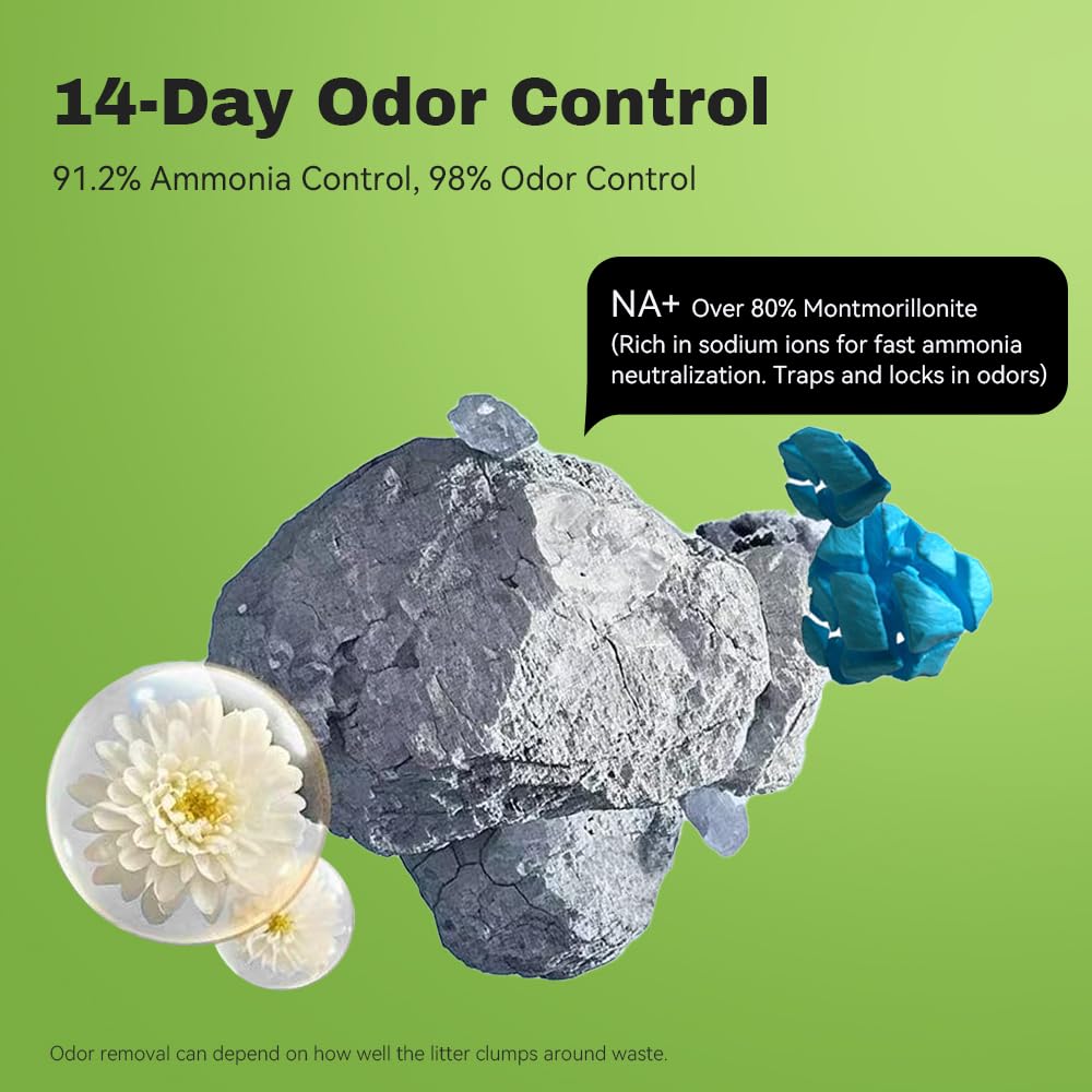 LALAHOME Bentonite litter hard clumps enable fast, easy scooping