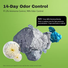 LALAHOME Bentonite litter hard clumps enable fast, easy scooping