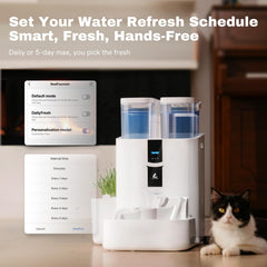 LALAHOME DailyFresh oxygen-rich water visuals with bubbles improving taste appeal.