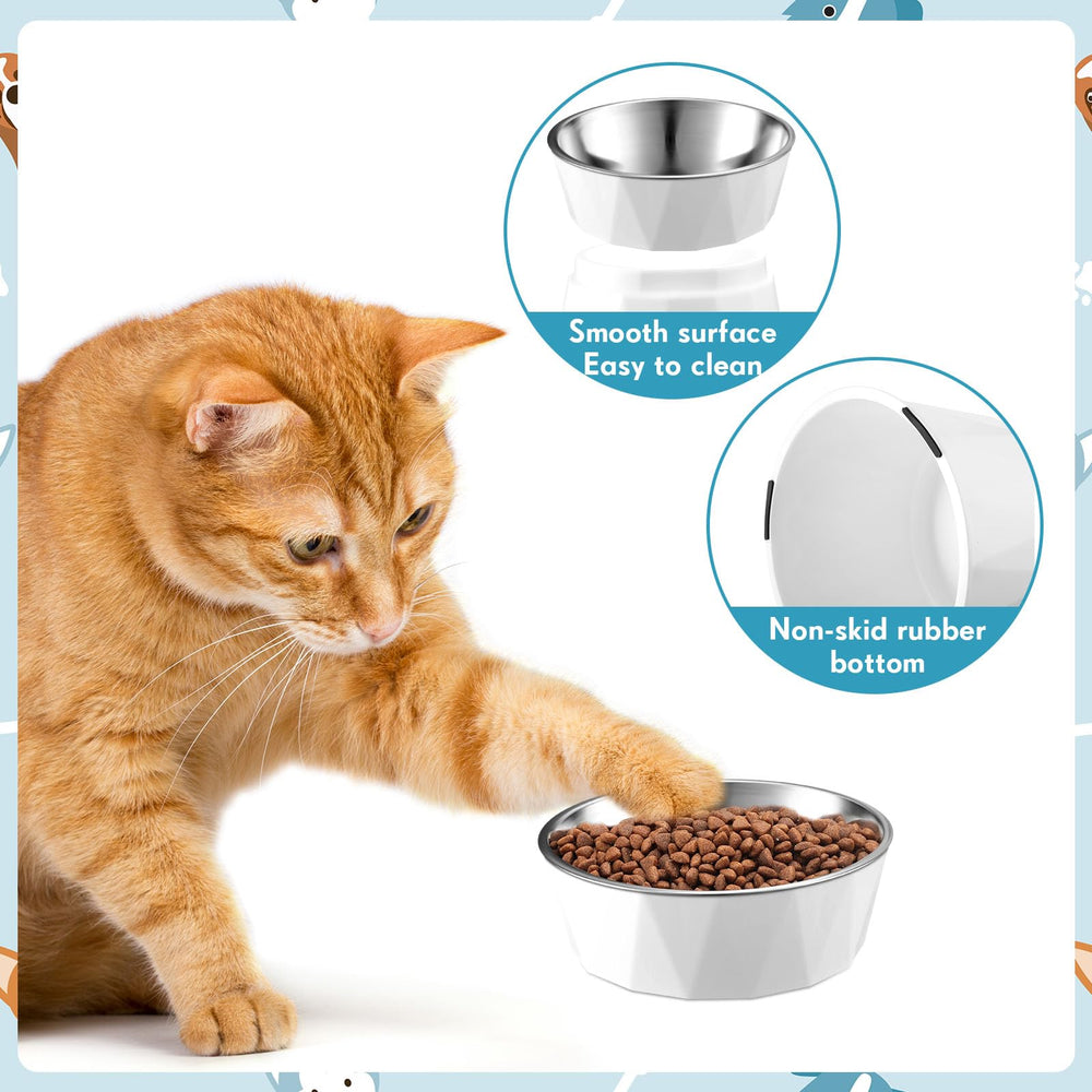 Lallisa raised-height stand keeps feeding comfortable for kittens and small dogs.