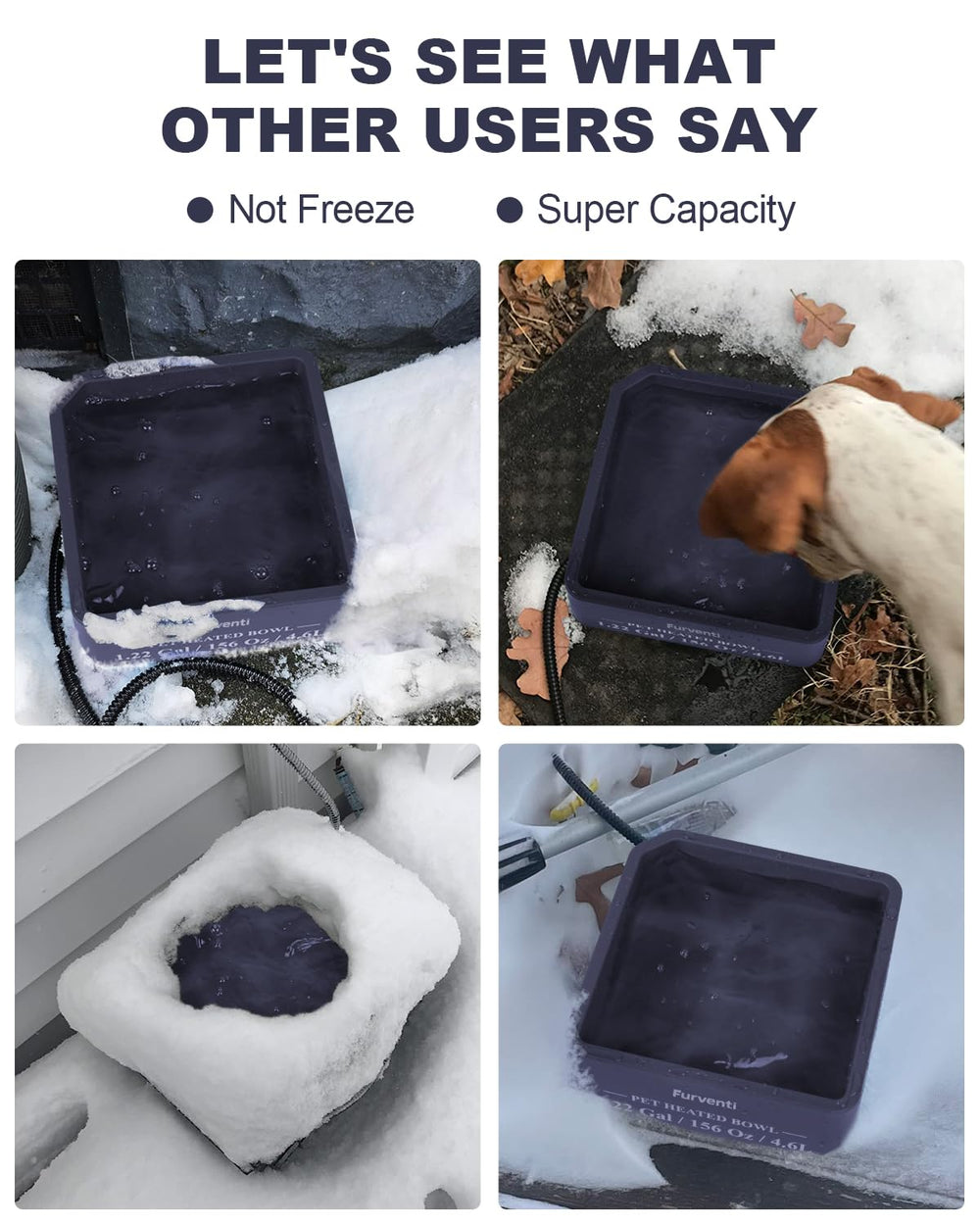 Lamlingo in-use image shows pets drinking from a safe outdoor water source.