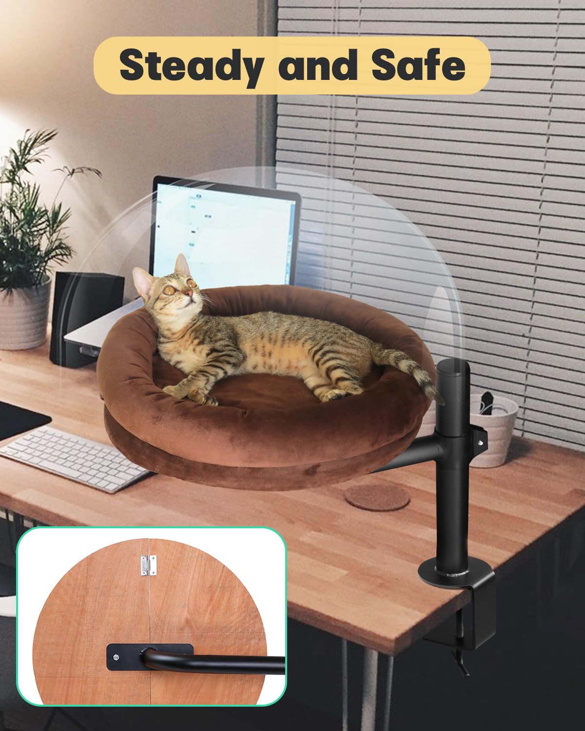 Lamlingo rotation mechanism 360 captures versatile positioning for you and cat.