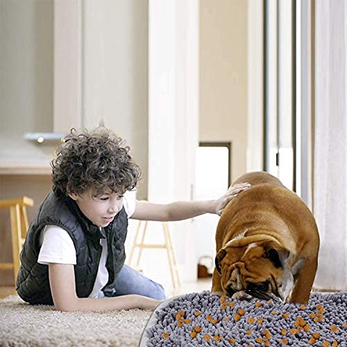LAMTWEK Snuffle Mat dog sniffing for hidden snacks and enrichment.