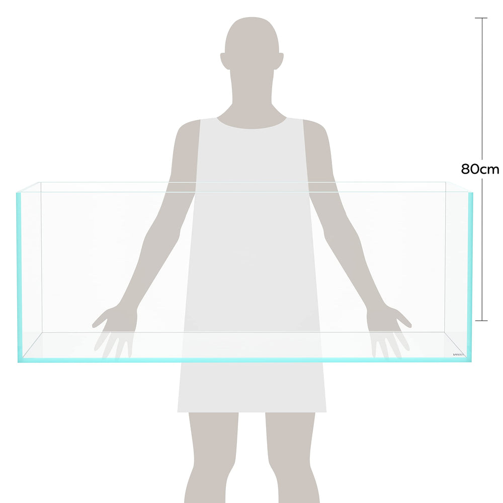 LANDEN 120P low-iron glass close-up emphasizing 91 percent light transmission