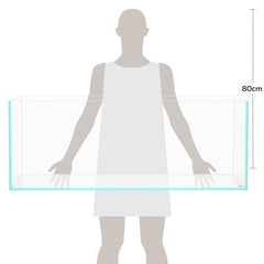 LANDEN 120P low-iron glass close-up emphasizing 91 percent light transmission