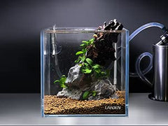 LANDEN 25C cube rimless aquarium 5mm glass close-up reveals sturdy edge and seamless joint.