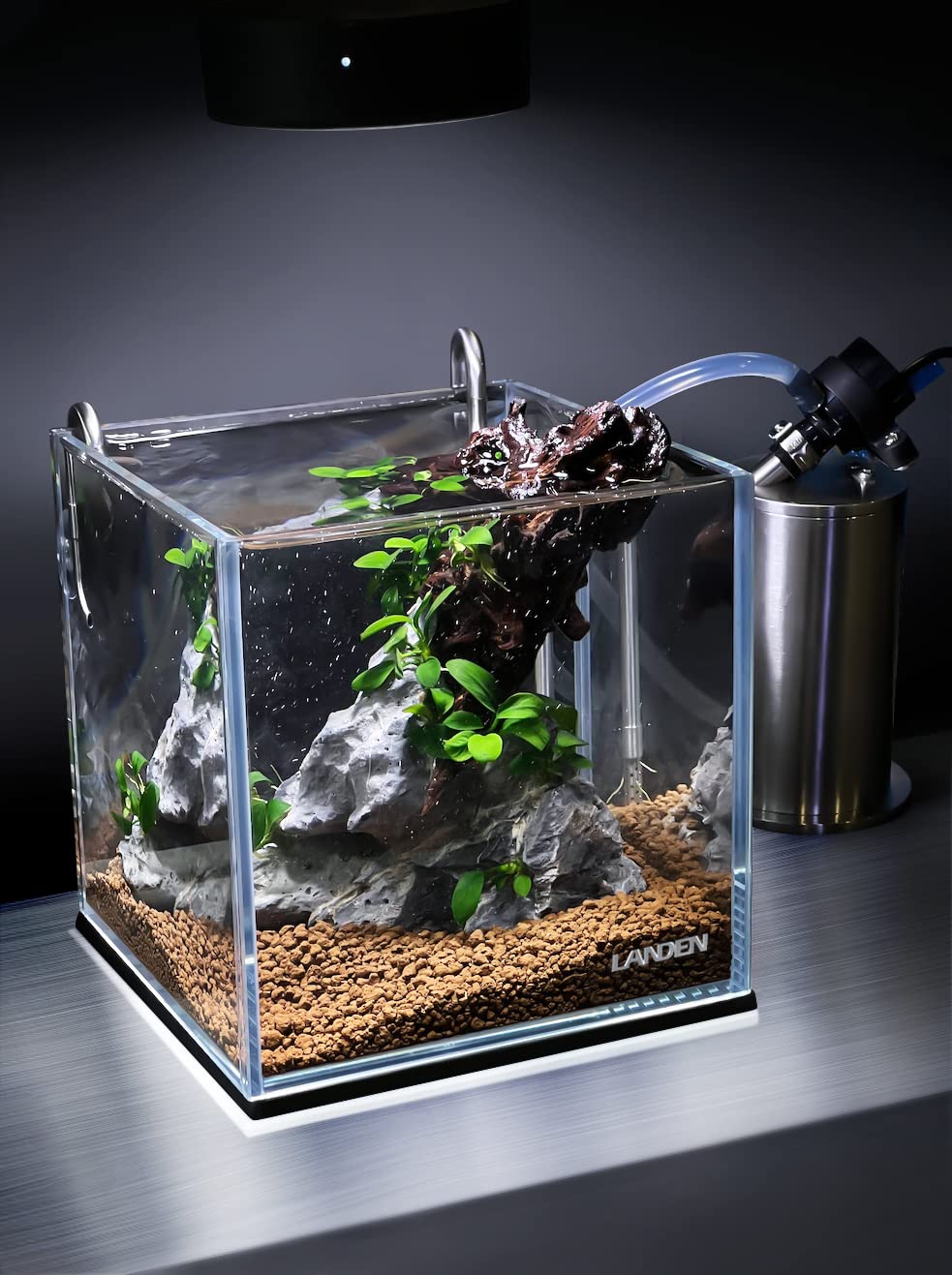 LANDEN 25C cube rimless aquarium top-down view shows square footprint for compact setups.