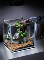 LANDEN 25C cube rimless aquarium top-down view shows square footprint for compact setups.