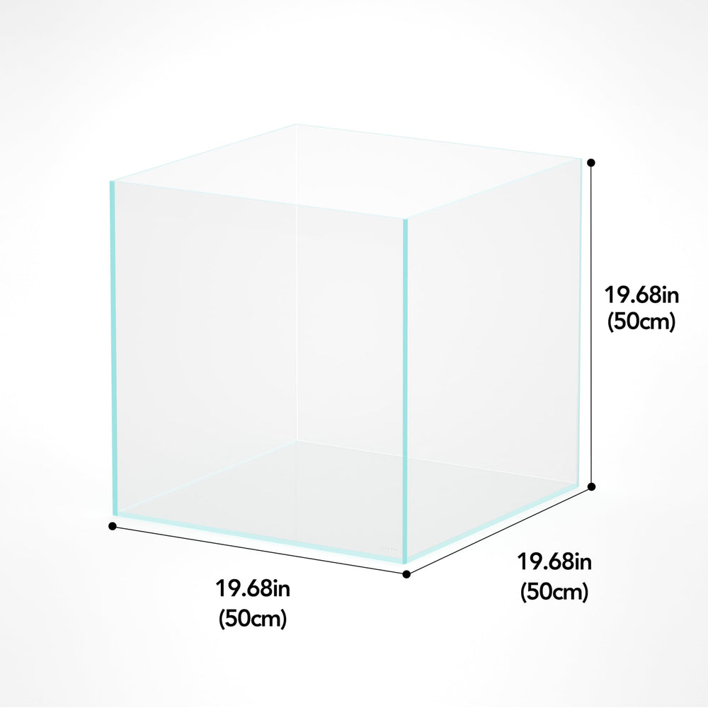 Landen 31-gallon cube rimless aquarium top view, spacious layout