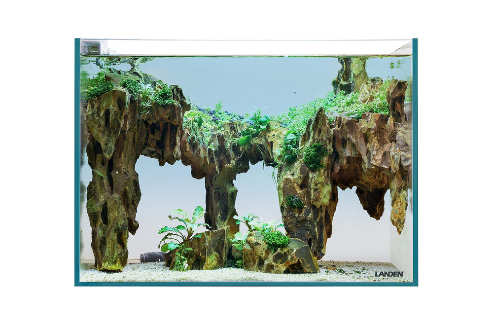 LANDEN 36N 5G bezel-less view demonstrates wide-angle underwater watching.