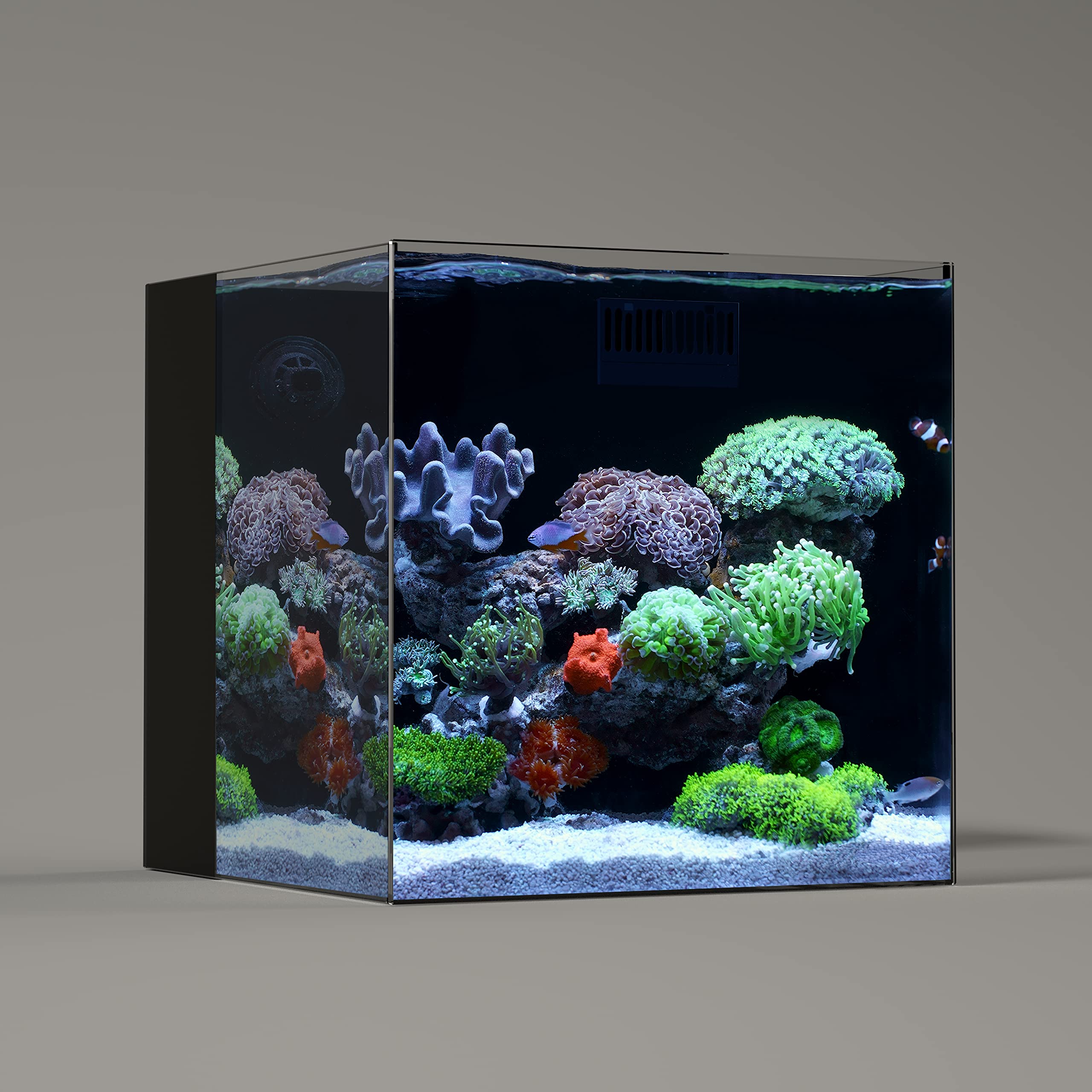 LANDEN 40C tank front view shows rimless ultra-clear glass for pristine viewing