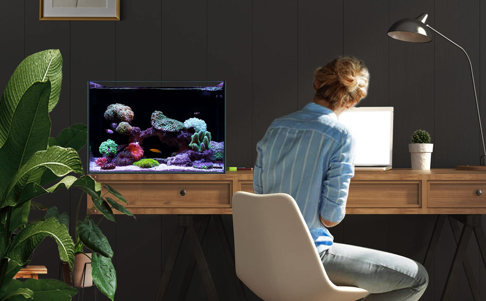 Landen 45P saltwater freshwater setup idea shows flexible configuration.